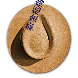 新金瓶(瓶)梅 电影