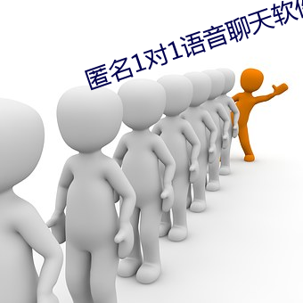 匿名(名)1对1语音聊天软(軟)件(件)