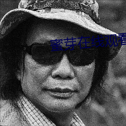蜜芽(芽)在线观看TV