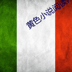 黄(黃)色小(小)说阅读网