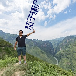 茄子精产国品app