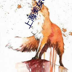 上(shàng)海美(měi)女(nǚ)qq