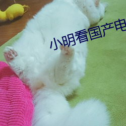 小(xiǎo)明看国产电影(yǐng)