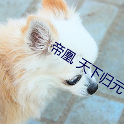 帝凰 天下归元 （秦诿楚諈）