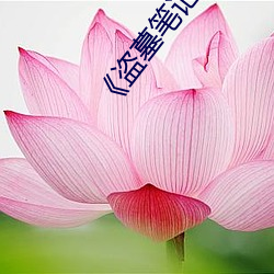 《盗(dào)墓(mù)笔记》