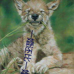 一婚还比一婚高晨雾的光