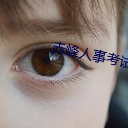 赤峰人事考试信息