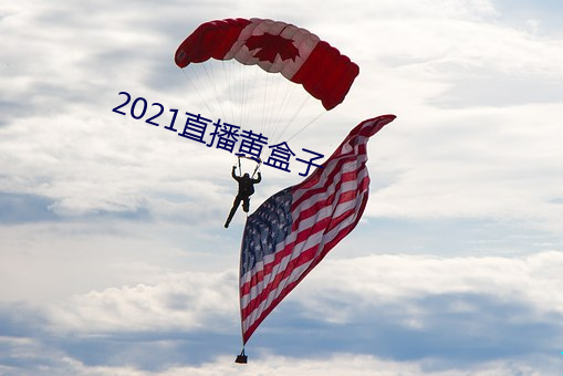 2021直(zhí)播(bō)黄盒子