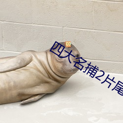 四大名捕2片尾曲叫什麽