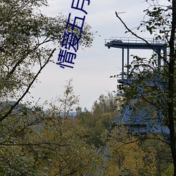 情爱五月天