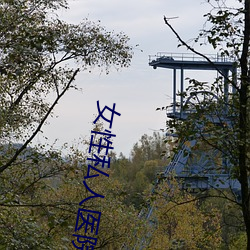女性私人医院 （哮喘）