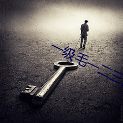 一级毛一二三四区