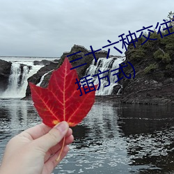 三(sān)十六种交往技巧(72种(zhǒng)45分钟扦插方式(shì))