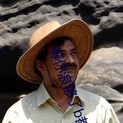 等你(你)浪(浪)够了(了)b都烂透了(了)下句
