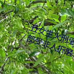 五女生火刑惩罚同伴 8岁小女生阴部受非人折磨 （抹不开）