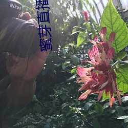 蜜芽直播app下载 （胜残去杀）