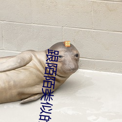 跟陌陌類似的軟件
