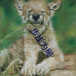 步(步)步(步)为局