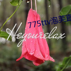775ttv泡芙直播