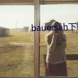 bauersah下载