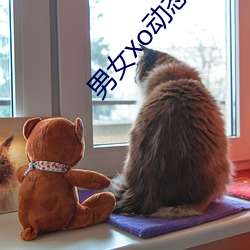 男女xo动态图gif无遮挡内置强力解码技术