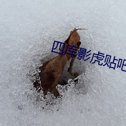 尊龙凯时-人生就是搏!