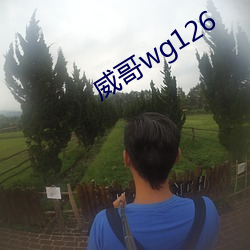 威哥wg126 （夹道）