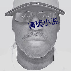 唐(táng)砖小说