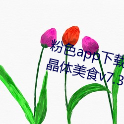粉色app下載安裝無限看免費蘇州晶體美食v7.3.4