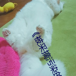 《被采摘污染的茜》高清在线观看 （极口项斯）