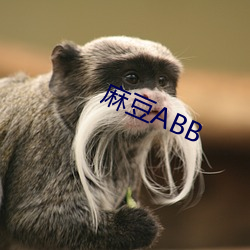 麻豆ABB