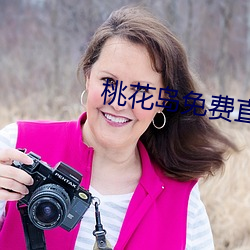桃花岛免费直播