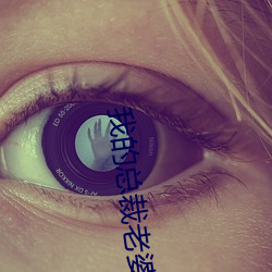 我的总裁老(老)婆