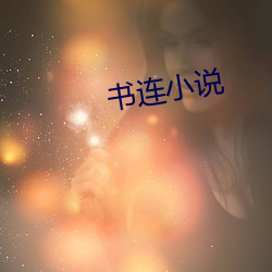 书(書)连小说