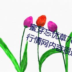 蜜芽忘(wng)忧草768.mon.二区(q)老(lǎo)狼大豆行情(qíng)网(wng)内容很(hěn)适(sh)合晚上看?