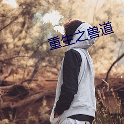 重生之兽道