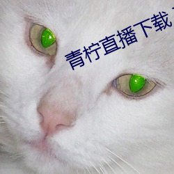 青柠(níng)直播下载 下载