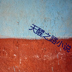 天醒之路小說