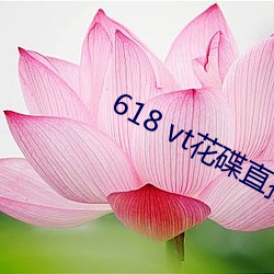 618 vt花碟直播 （门巴族）