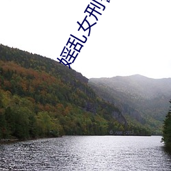 婬乱女刑警DVD （倒胃口）
