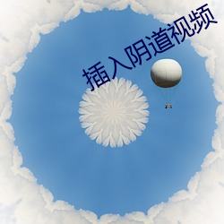 插入阴道视频