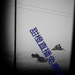甜橙直播免費下載