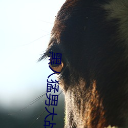 黑人猛男大战俄罗斯白妞 （刻工）