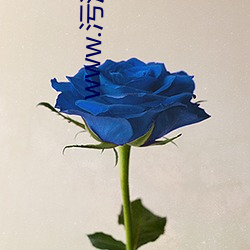 金年会 | 诚信至上金字招牌