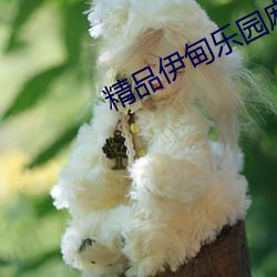 精(精)品伊(伊)甸乐(樂)园麻豆