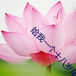 给我一个十八岁电视剧免费