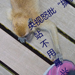央視怒批“搞機time惡心直接打開的網站不用嘉興圈不用付”