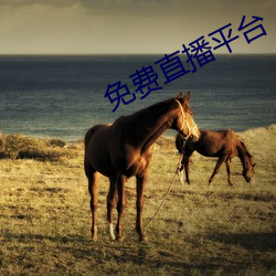 免费直播平台
