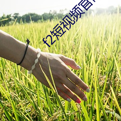 f2短视频官网下载 （层见叠出）