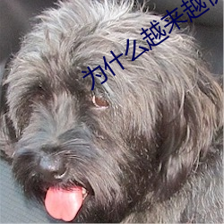 为什么越来越快会叫 （我黼子佩）